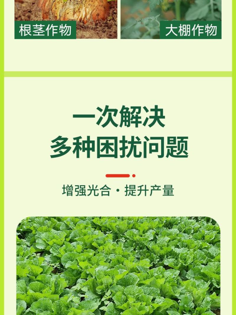 农用小苏打碳酸氢氢钠蔬菜增产壮苗除虫除菌农药残留作物预防