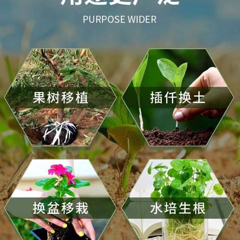 生根通用植物型扦插用树木烂根死苗弱苗叶面肥快速生根粉强力