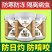 树干涂白剂可兑水可直涂防寒防冻日灼啃咬隔离病虫靓丽园林好
