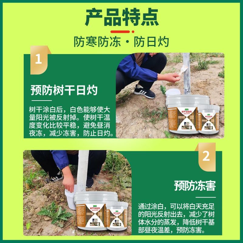 树干涂白剂可兑水可直涂防寒防冻日灼啃咬隔离病虫靓丽园林好