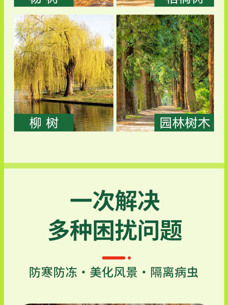 树干涂白剂可兑水可直涂防寒防冻日灼啃咬隔离病虫靓丽园林好