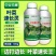 叶菜速长灵叶面肥快速壮苗叶片浓绿青菜生菜油麦菜增产通用