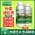 叶菜速长灵叶面肥快速壮苗叶片浓绿青菜生菜油麦菜增产通用
