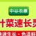 叶菜速长灵叶面肥快速壮苗叶片浓绿青菜生菜油麦菜增产通用