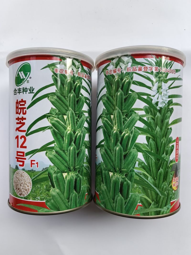 皖芝12号芝麻种子，三系杂交，一叶三蒴，蒴果四棱，基地用