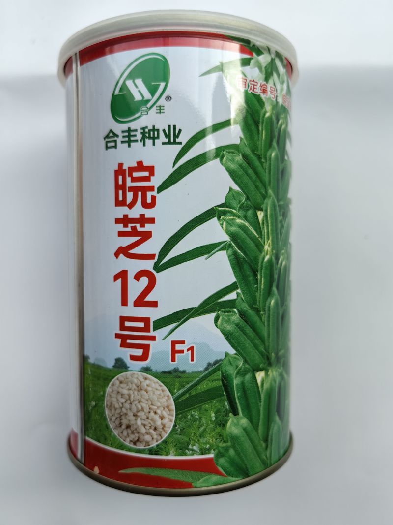 皖芝12号芝麻种子，三系杂交，一叶三蒴，蒴果四棱，基地用