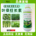 多科农叶菜狂长素韭菜菜心小油菜香菜油麦菜空心菜专用叶面肥