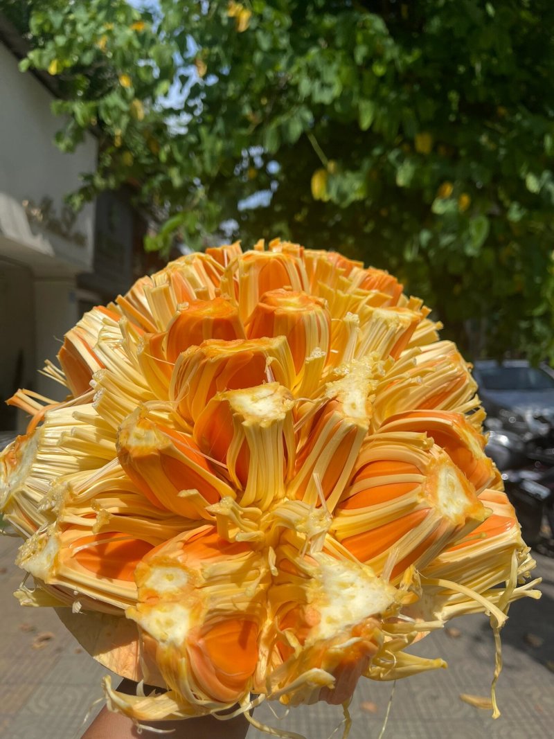 【精品】泰国红肉八号菠萝蜜，产地海南，一手货源，专业包装