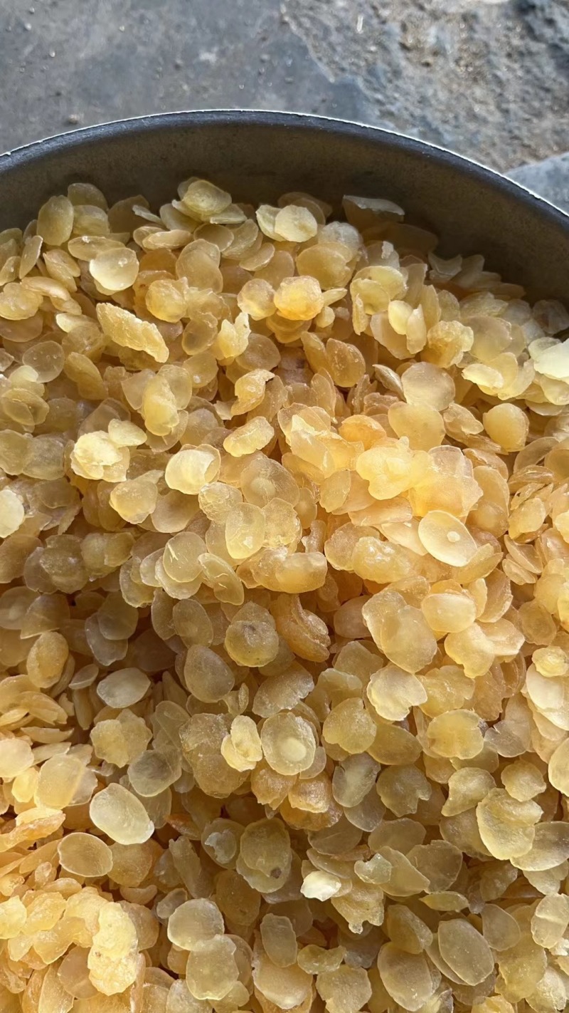 皂角米大量上市诚信经营保质保量可视频看货