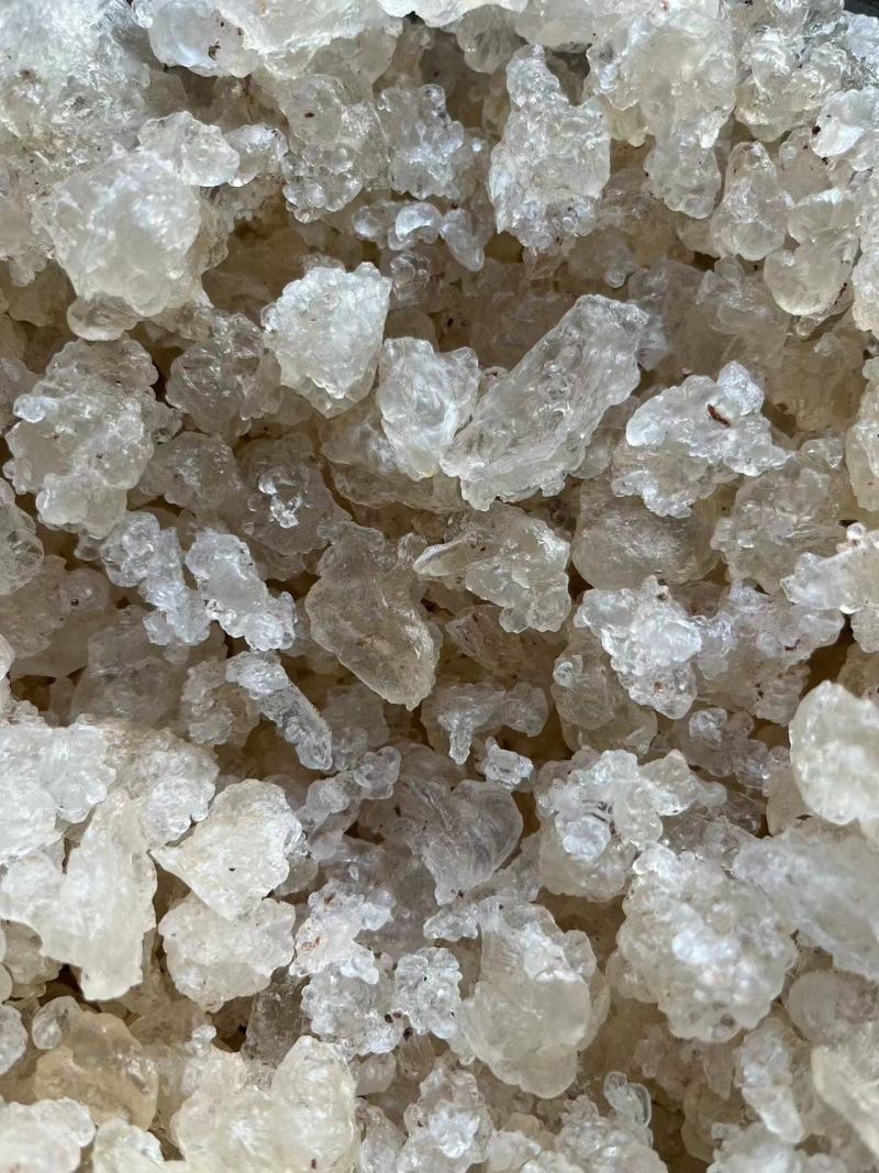 3A拉丝雪燕精品雪燕特级雪燕可长期稳定供应欢迎考察