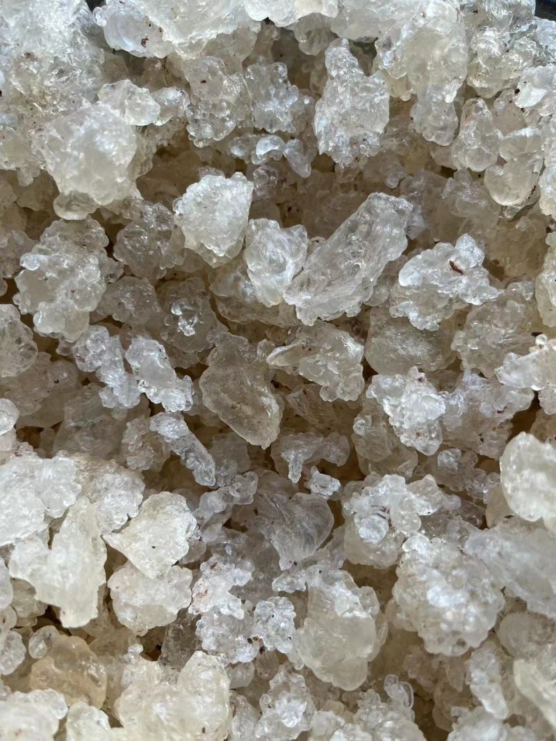 3A拉丝雪燕精品雪燕特级雪燕可长期稳定供应欢迎考察