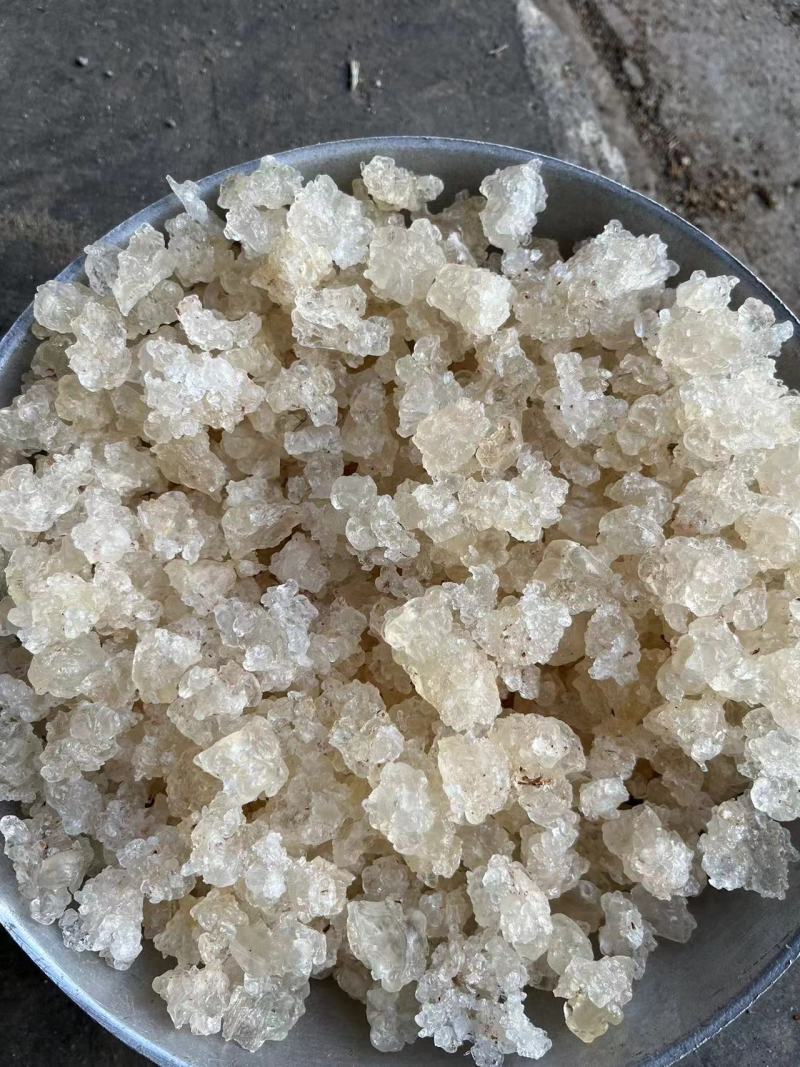 3A拉丝雪燕精品雪燕特级雪燕可长期稳定供应欢迎考察