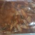 麻辣蛏王5斤一袋（供熟食店，烧烤，大排档，捞汁小海鲜，）