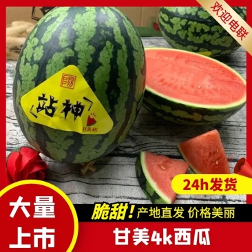 江苏西瓜精品甘美4K货源充足价格优惠欢迎来电