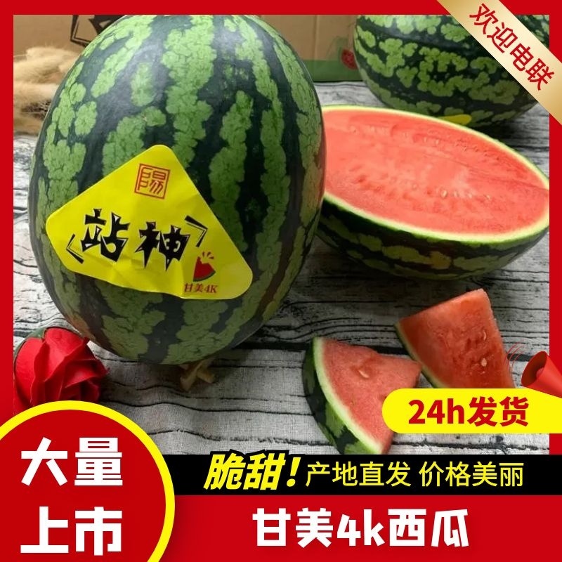 江苏西瓜精品甘美4K货源充足价格优惠欢迎来电
