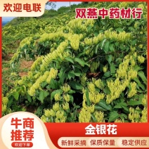 新品上市基地现摘全国代发价格优惠
