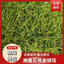 【湘蕾五号金银花茶】规格齐全，产地直供，量大质优价优