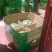 【优选】美都西瓜品质保证甜度高货发全国欢迎联系