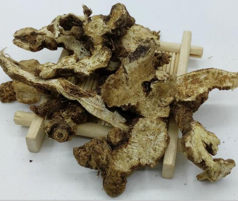 正宗苍术厂家直销欢迎电话咨询详情尽在其中