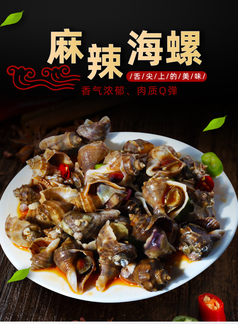麻辣海螺5斤一袋（供熟食店，烧烤，大排档，捞汁小海鲜）