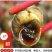 麻辣田螺5斤装（供熟食店，烧烤，大排档，捞汁小海鲜）