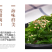 海草海藻沙拉5斤一袋（供熟食店，烧烤，大排档，小海鲜）
