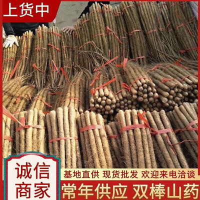 《精选》双棒山药现货供应常年批发全国发货欢迎来电