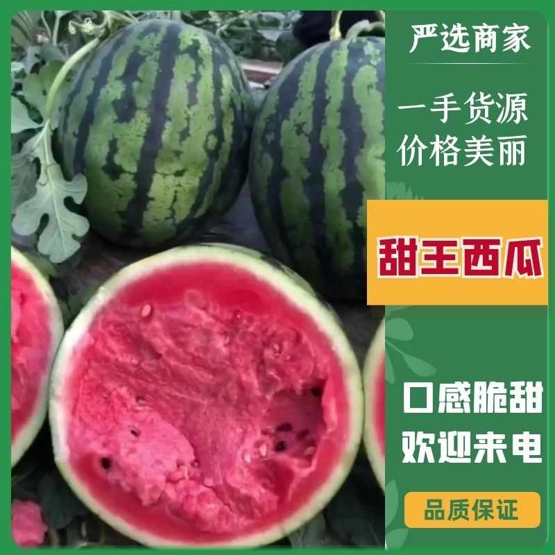 吉林甜王西瓜皮薄瓜甜货源充足一条龙服务