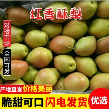红香酥梨，货源充足，产地直发，电商平台批发零售均可！