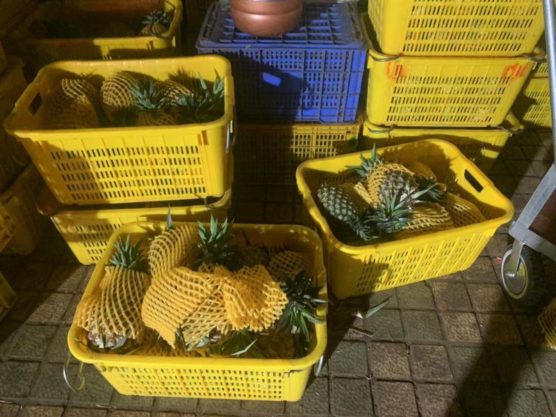 湛江精品菠萝现摘现发皮薄多汁口感甘甜商超品质