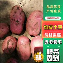 内蒙雪川红黄心红皮土豆，产地直发，优质货源，诚信经营