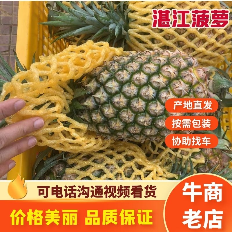 湛江精品菠萝现摘现发皮薄多汁口感甘甜商超品质