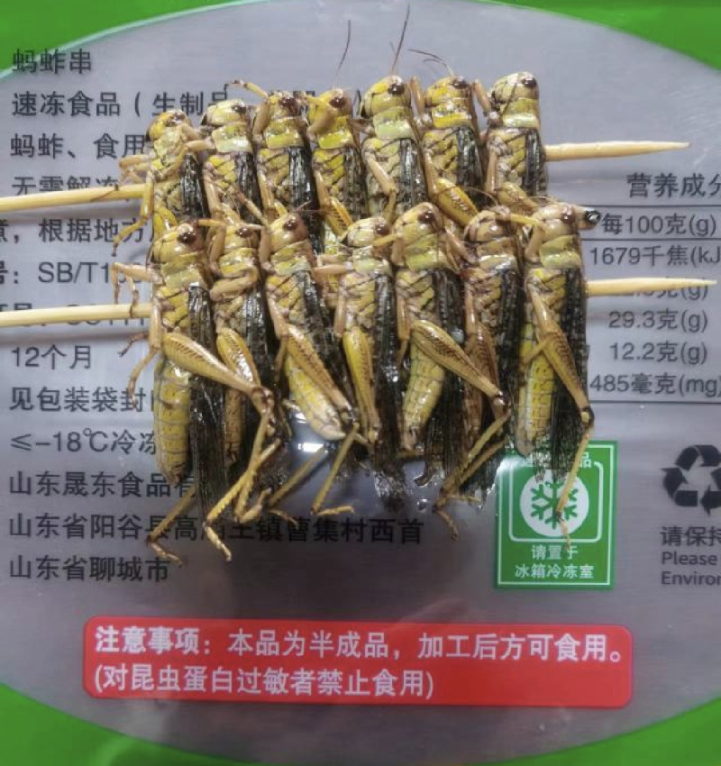 蚂蚱/蝗虫，大棚养殖蚂蚱，冷冻蚂蚱/活体蚂蚱，可常年供应