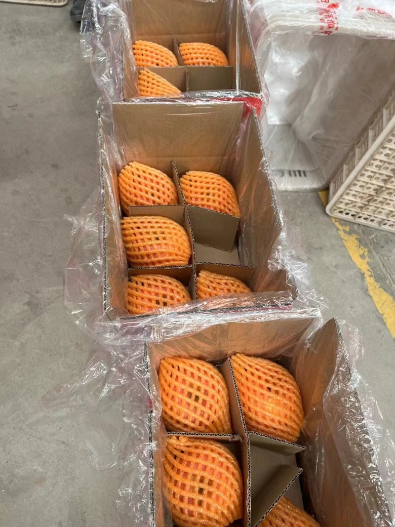 陕西洛川精品苹果甜度高，规格齐全量大价优