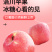 陕西洛川精品苹果甜度高，规格齐全量大价优