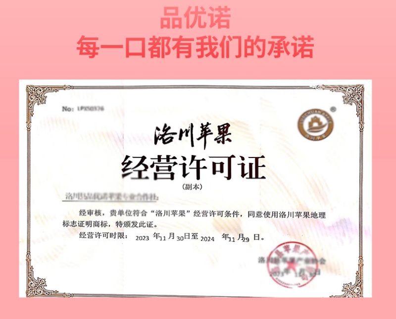 【甄选】山东精品红富士苹果洛川苹果产地直发价优欢