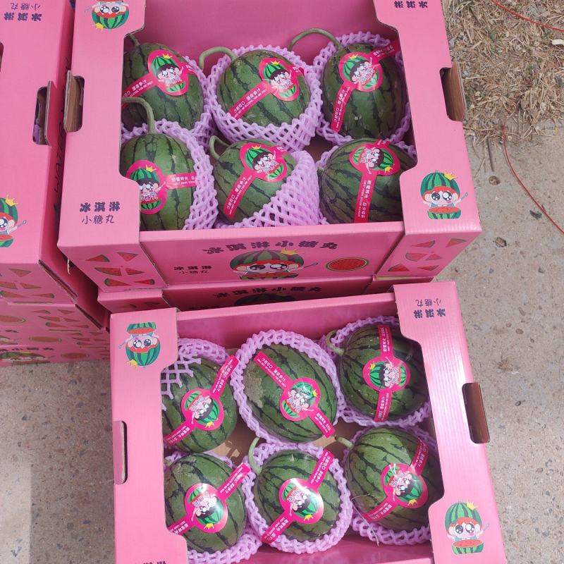 安徽精品2k西瓜包熟包甜基地直发电商平台市场🔥爆销售