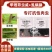 农药杀虫剂甲维茚虫威+虱螨脲水稻稻纵卷叶螟杀虫剂复配