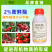 胺鲜酯植物生长调节剂农药蔬菜番茄专用调节剂农药植物生长调