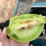 山东单县玉菇甜瓜冰清玉姑产地直供电商微商批发市场