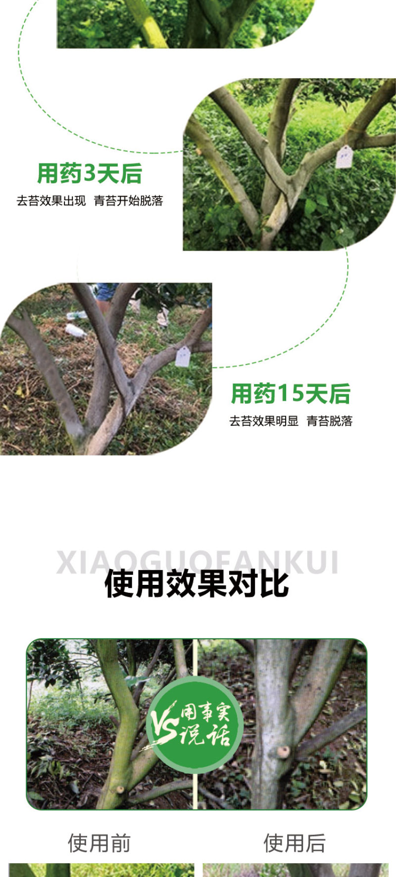 微生物菌剂青苔清除剂无味无刺激厂家直销