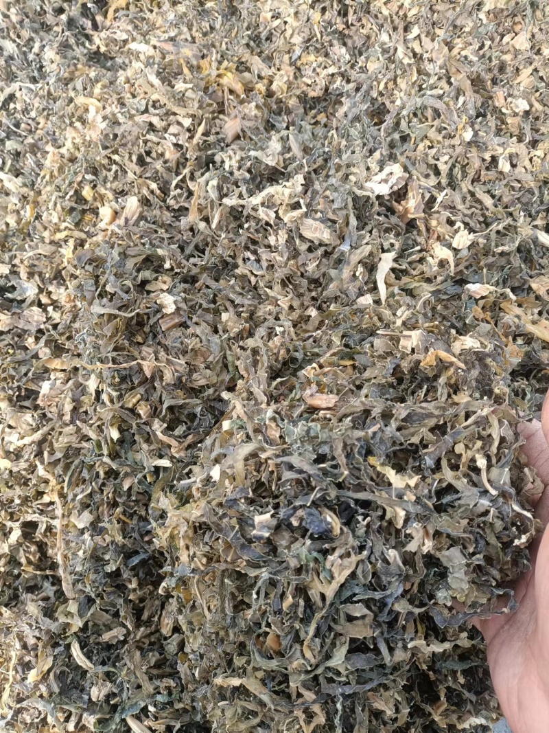精品梅干菜，货源充足，供应全国，欢迎采购