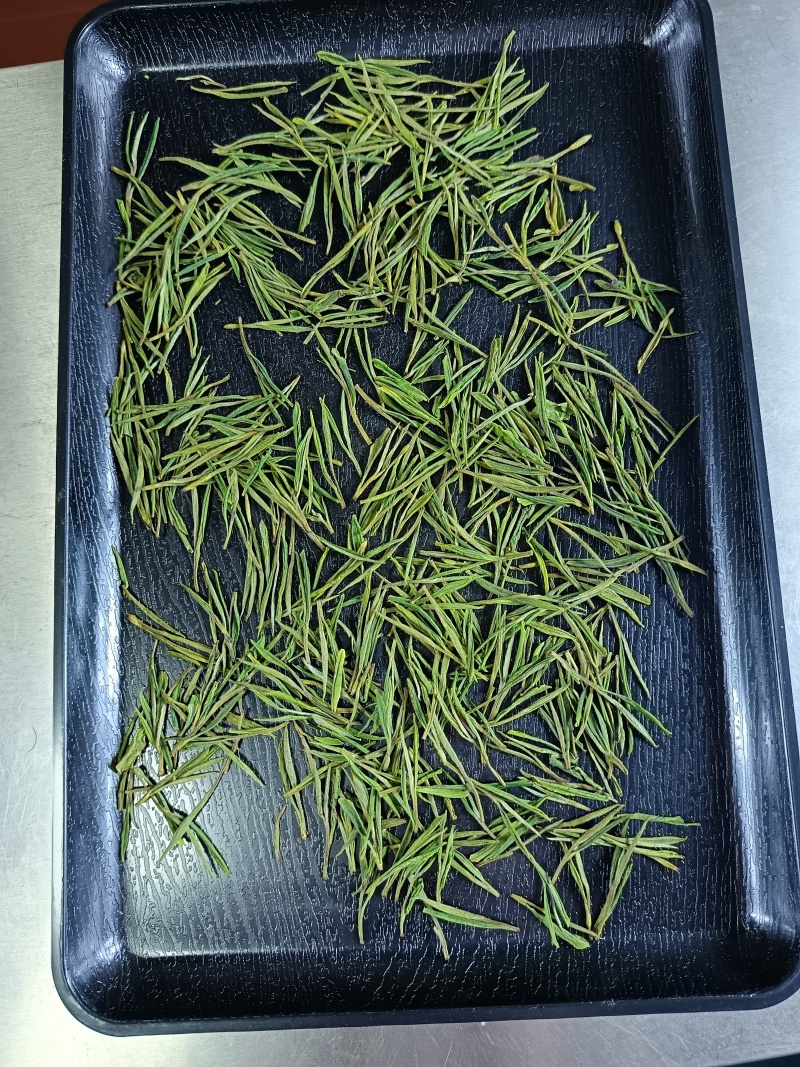 安吉白茶新茶上市茗茶之选味道俱佳天然晾晒汤色透亮