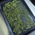 白茶（安吉白茶）明前绿茶新茶产地直发品质保证