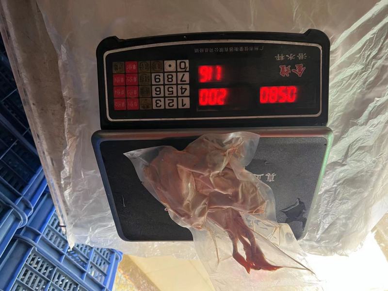 优质鹧鸪肉库存充足量大从优可视频欢迎老板选购