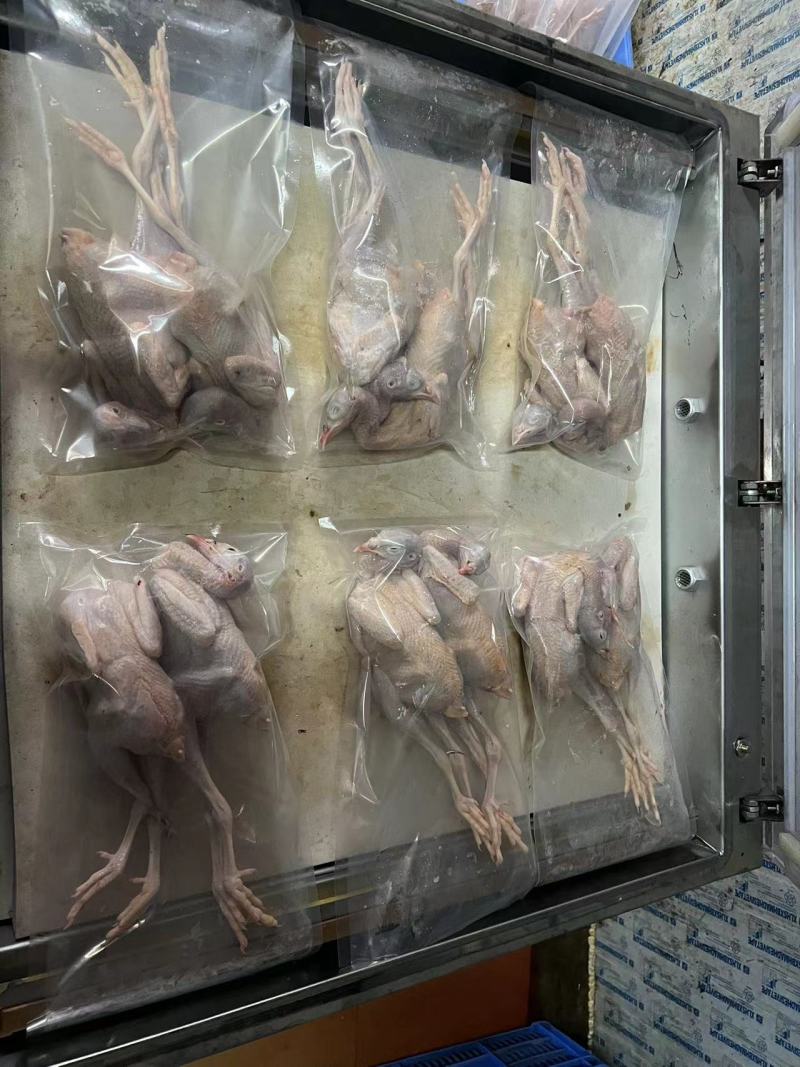 优质鹧鸪肉库存充足量大从优可视频欢迎老板选购