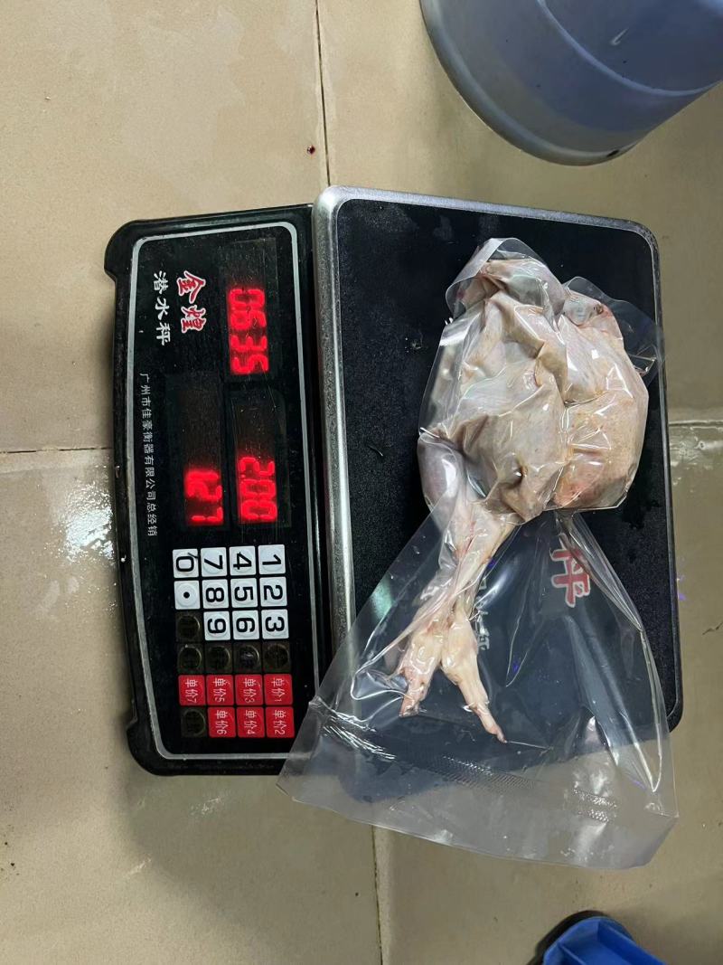 广东净膛真空鹧鸪肉5两以上质量保证量大从优诚信经营