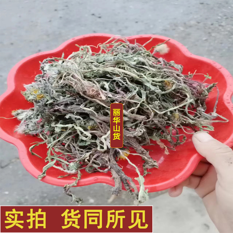 蒲公英野生新鲜药用可电商发货干净野生带根干品批发大