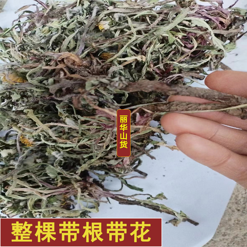 蒲公英野生新鲜药用可电商发货干净野生带根干品批发大
