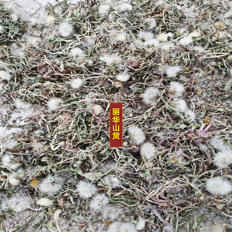 蒲公英野生新鲜药用可电商发货干净野生带根干品批发大